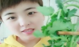 香菜姐姐爆料视频,幕后真相大曝光！