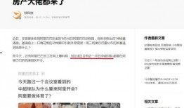 支付大佬最新爆料,行业最新动态与未来趋势深度解析