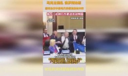 乌俄冲突爆料视频大全集,爆料视频大全集深度解析